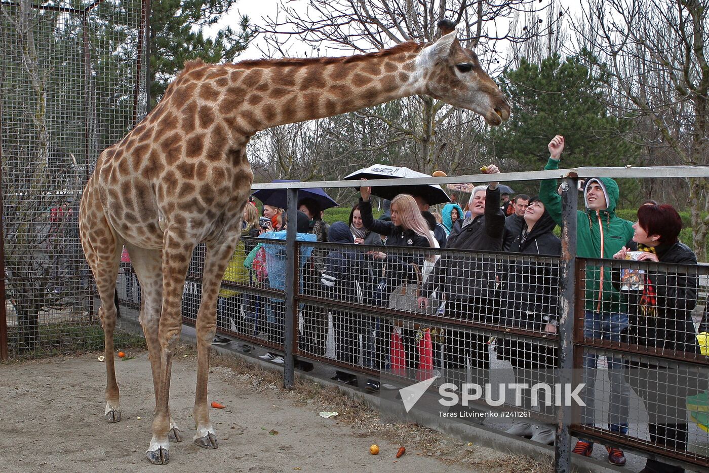 Taygan Lions Park in Crimea