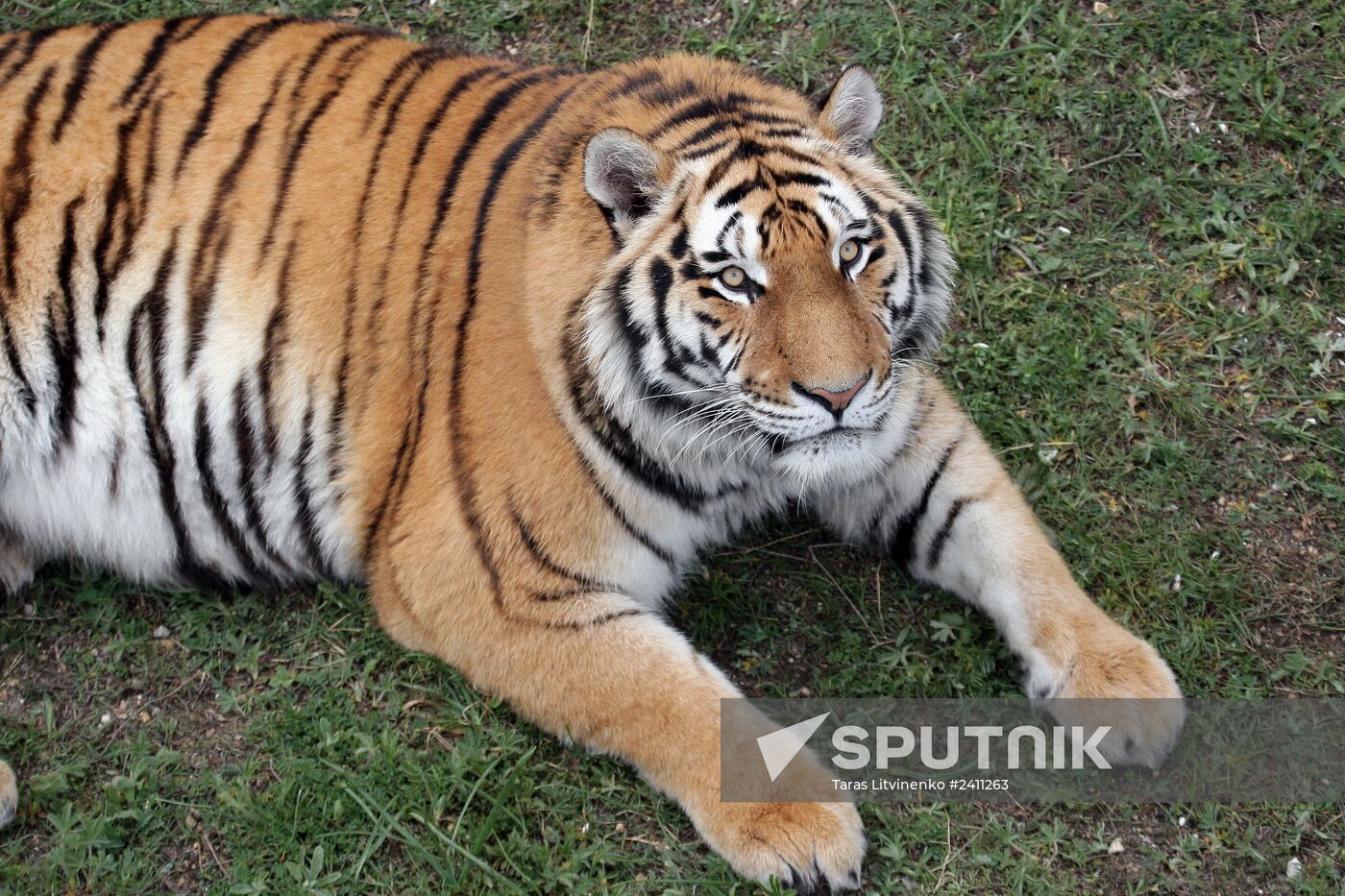 Taygan Lions Park in Crimea