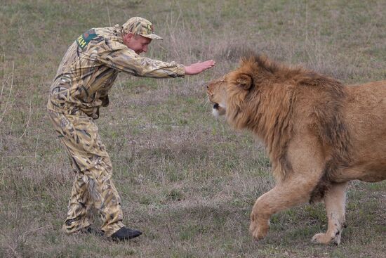 Taygan Lions Park in Crimea