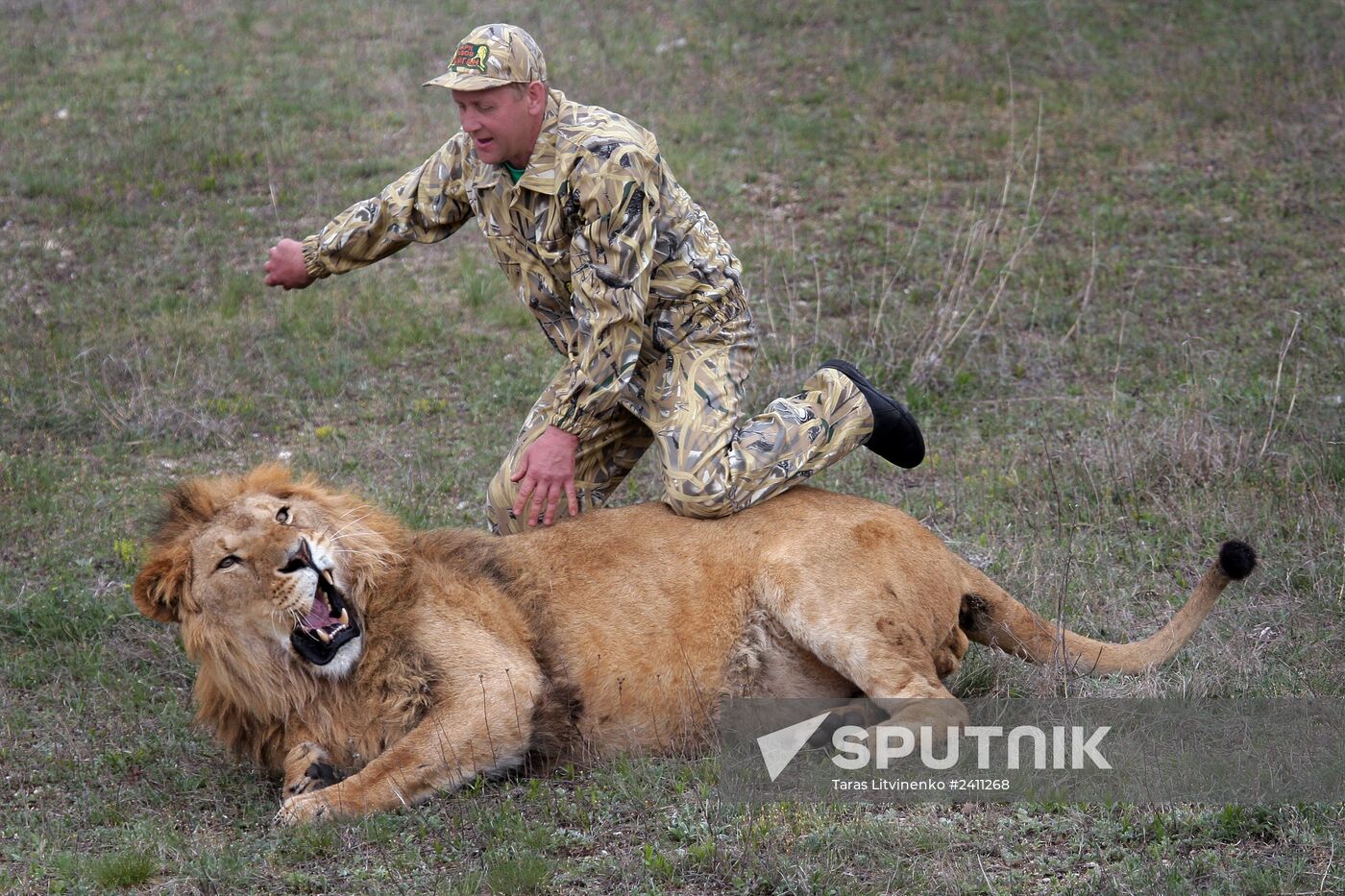 Taigan Lions Park in Crimea