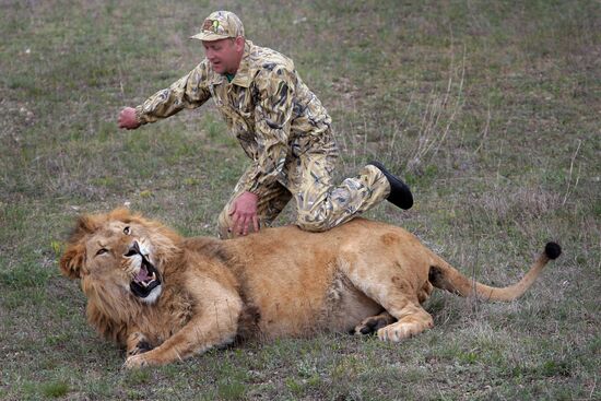 Taigan Lions Park in Crimea