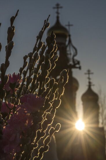 Pussy Willow Sunday celebrated in Russian regions