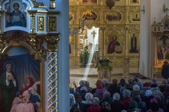 Pussy Willow Sunday celebrated in Russian regions