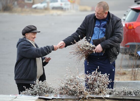 Pussy Willow Sunday celebrated in Russian regions