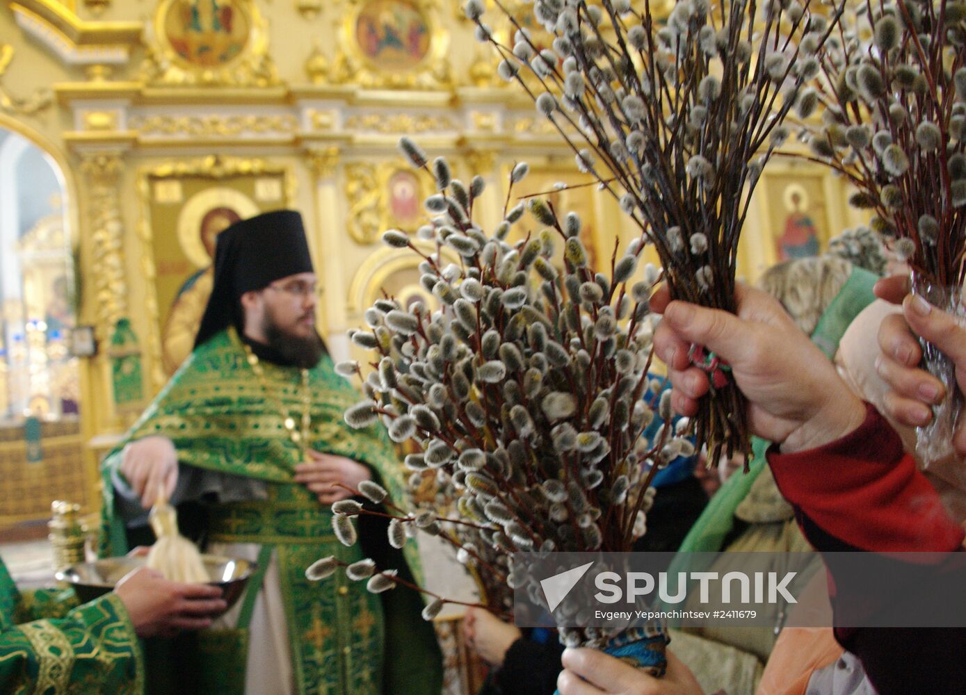 Pussy Willow Sunday celebrated in Russian regions