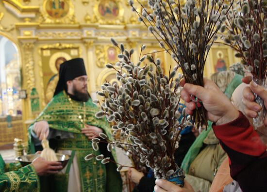 Pussy Willow Sunday celebrated in Russian regions