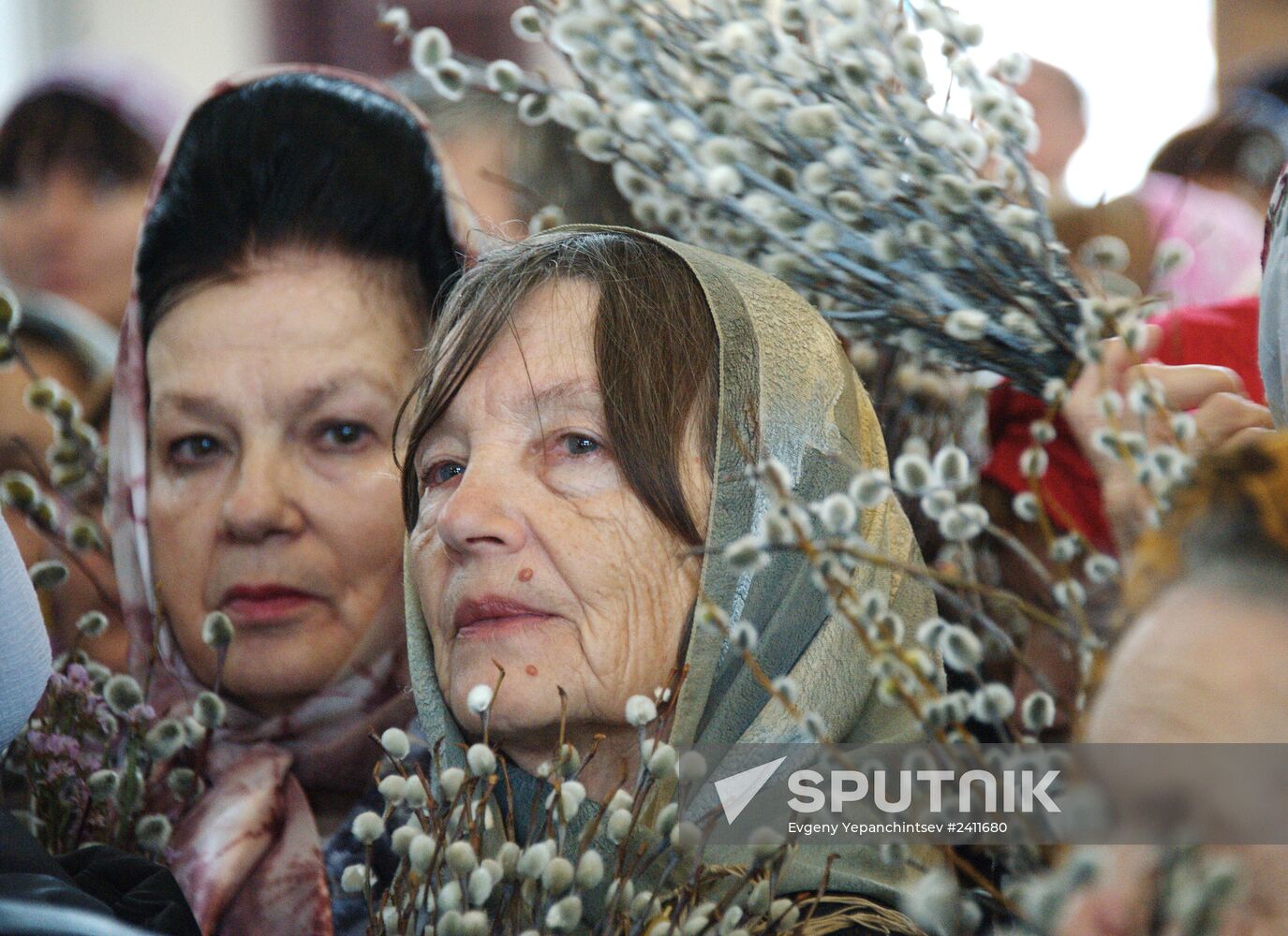 Pussy Willow Sunday celebrated in Russian regions