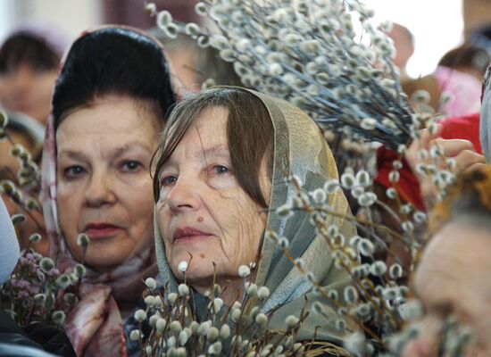 Pussy Willow Sunday celebrated in Russian regions