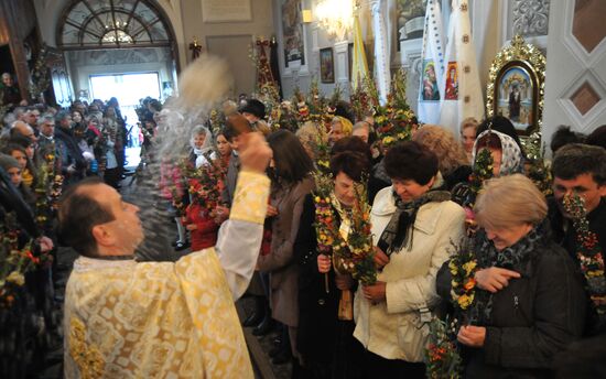 Pussy Willow Sunday celebrated in Lvov region