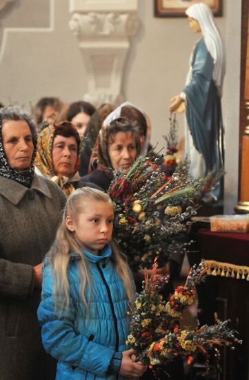 Pussy Willow Sunday celebrated in Lvov region