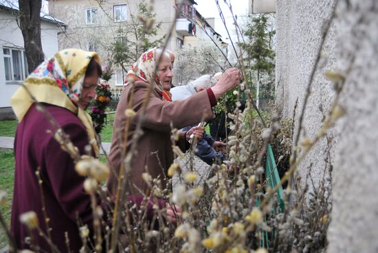Pussy Willow Sunday celebrated in Lvov region