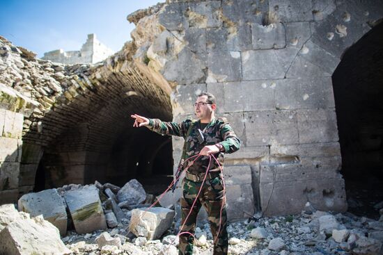 Militants expelled from Krak des Chevaliers castle in Syria