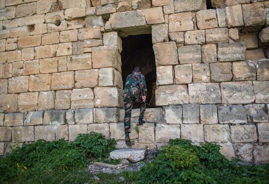 Militants expelled from Krak des Chevaliers castle in Syria