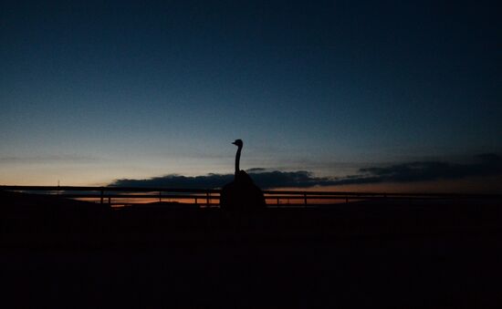 An ostrich farm in the village of Denisovka in the Simferopol District