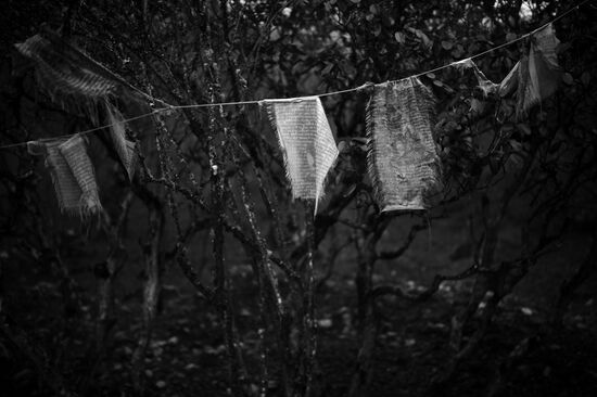 Mantras on trees near Tengboche village