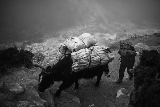 Mountain road between villages Lobuche and Pheriche