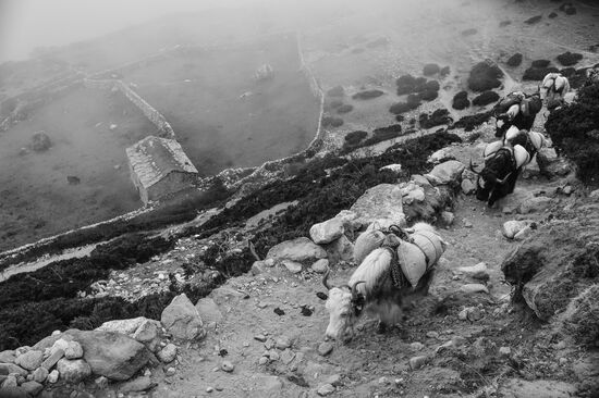 Mountain road between villages Lobuche and Pheriche