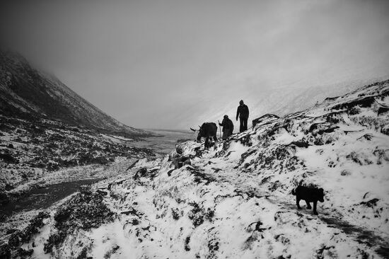 Mountain road from village of Pheriche to Tengboche