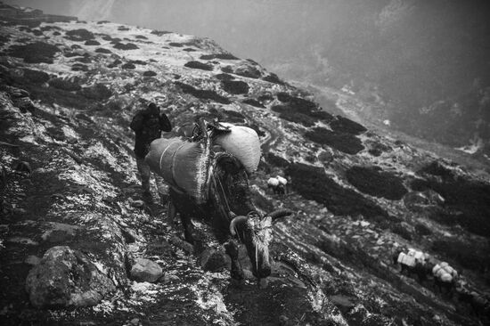 Mountain road from Pheriche to Tengboche