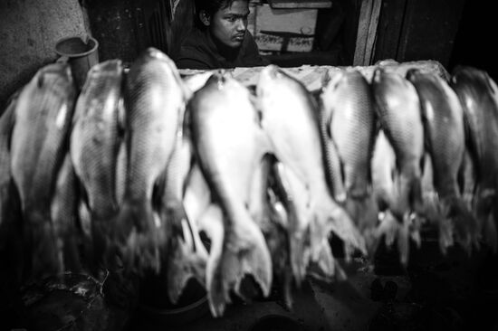 Cities of the world. Kathmandu