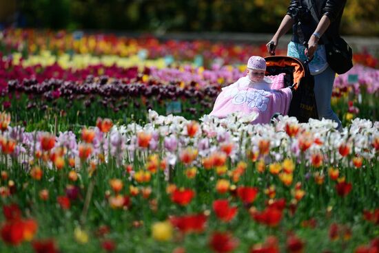 Nikitsky Botanical Garden in Yalta