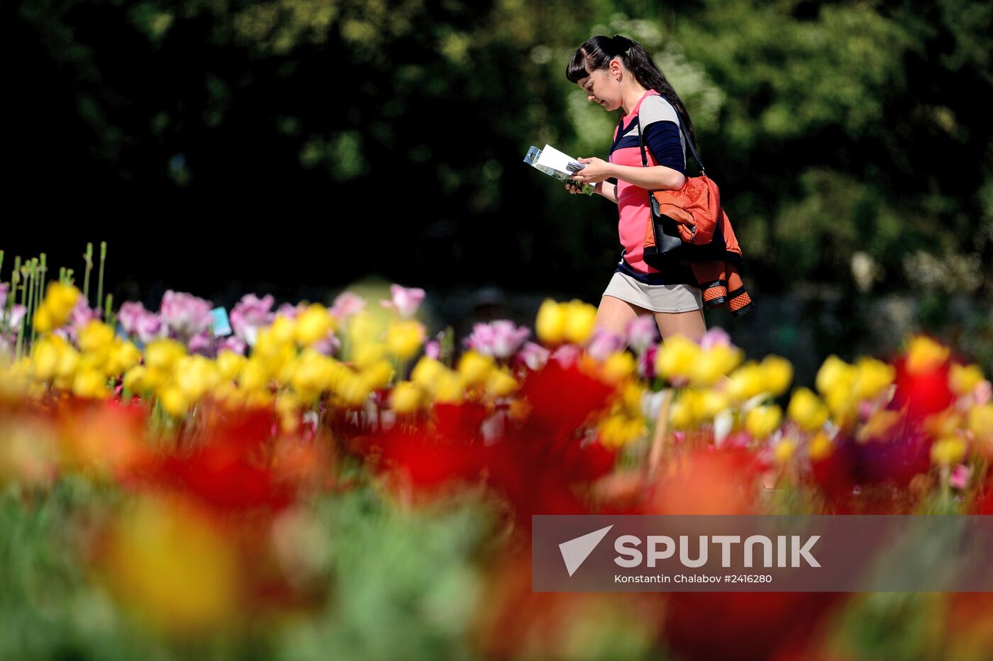 Nikitsky Botanical Garden in Yalta