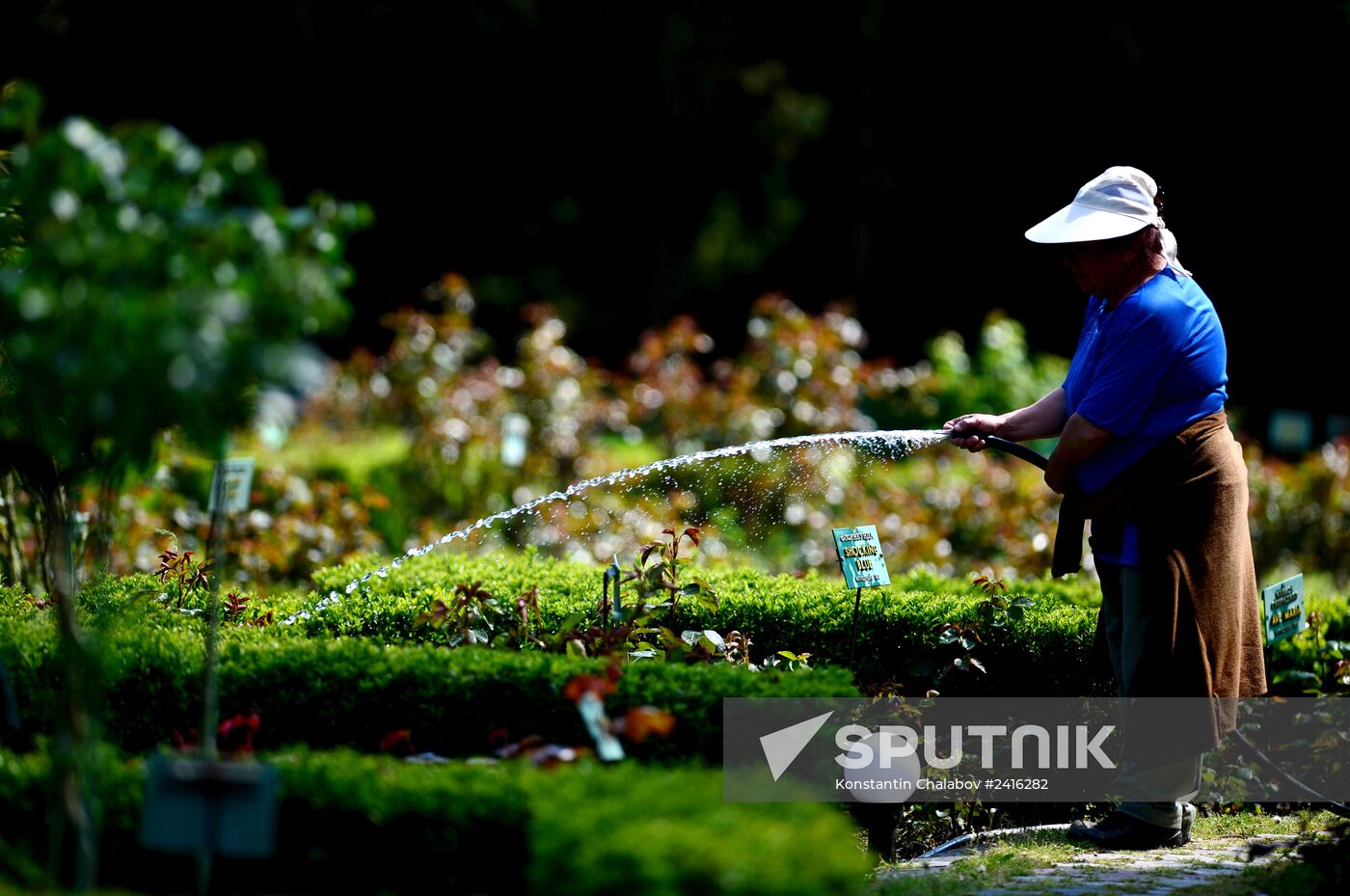 Nikitsky Botanical Garden in Yalta