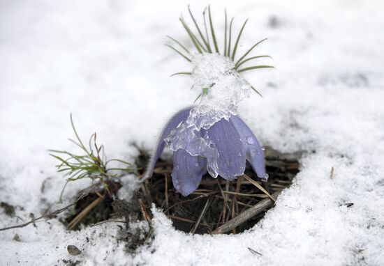 Snow in Zabaikalye Territory
