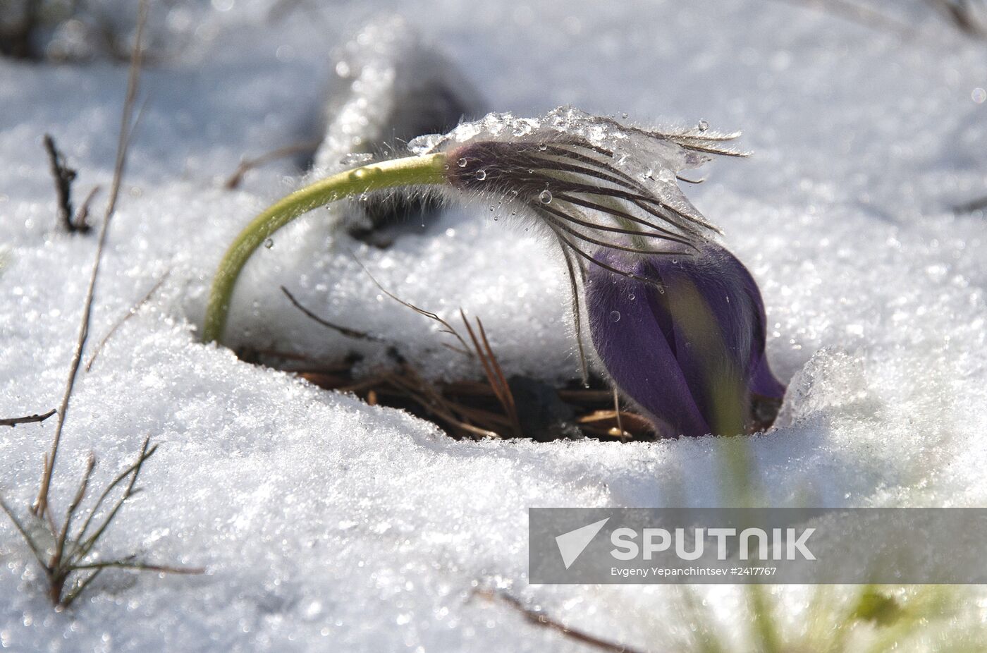 Snow in Zabaikalye Territory