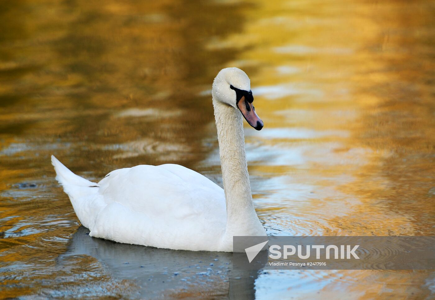Novolipetsk Iron & Steel Works