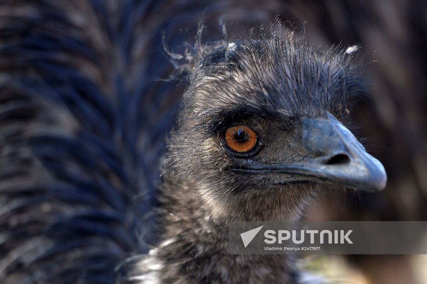 Novolipetsk Iron & Steel Works