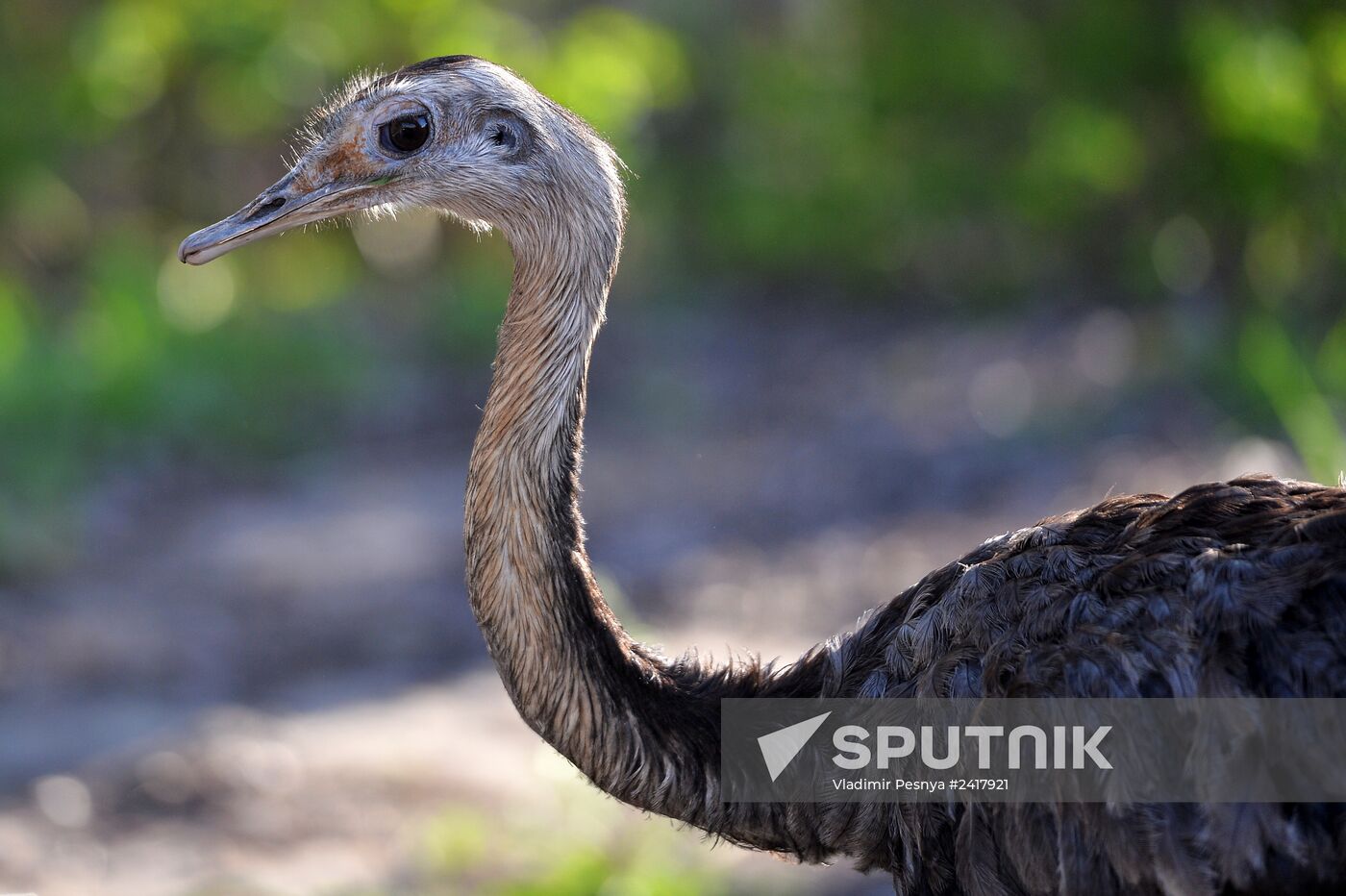 Novolipetsk Iron & Steel Works