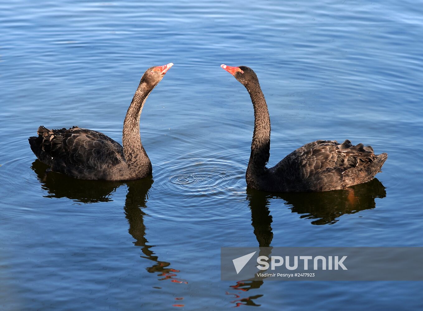 Novolipetsk Iron & Steel Works