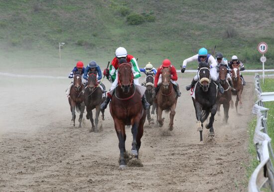 Horse race dedicated to Day of Peace in Gudermes