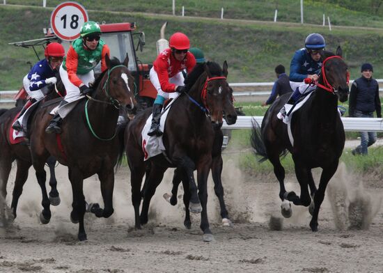 Horse race dedicated to Day of Peace in Gudermes
