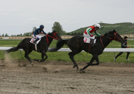 Horse race dedicated to Day of Peace in Gudermes