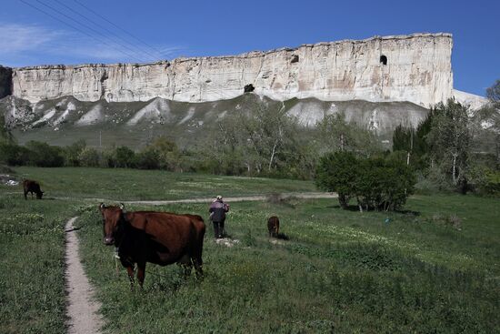 Crimean views