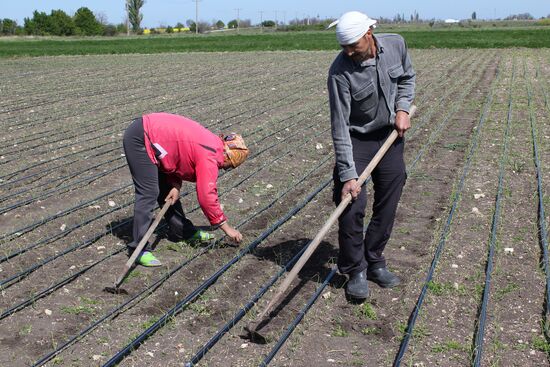 Update on fresh water supply in Crimea