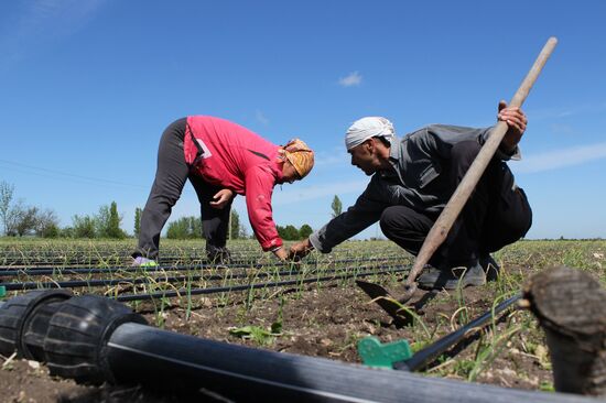 Update on fresh water supply in Crimea