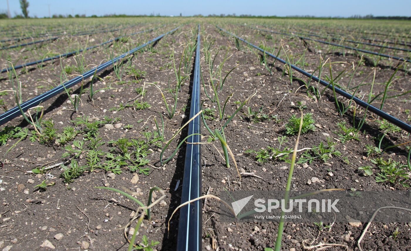 Update on fresh water supply in Crimea