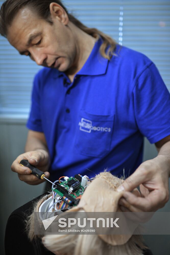 Presentation of the Pushkin Anthropoid Robot