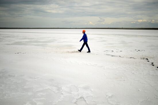 The Crimean Soda Plant