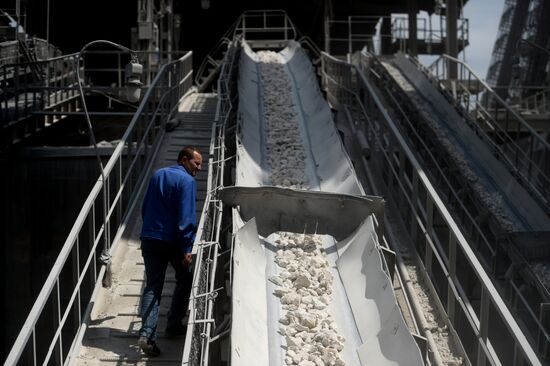 The Crimean Soda Plant