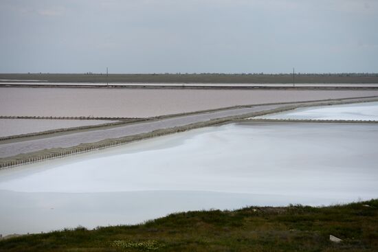 The Crimean Soda Plant