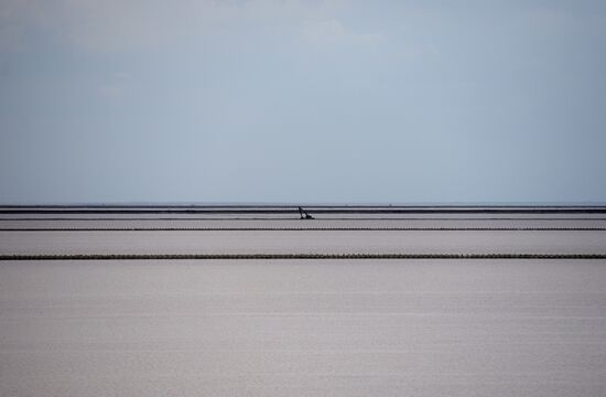 The Crimean Soda Plant