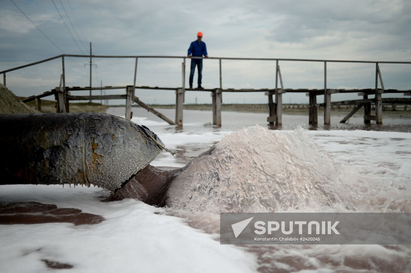 Crimean Soda Plant