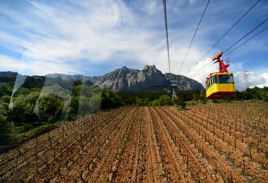 Miskhor - Ai-Petri cableway commissioned in Crimea after repair works