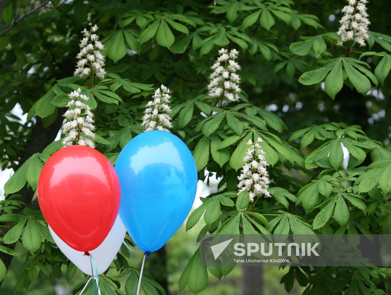 Spring and Labor Day in Crimea