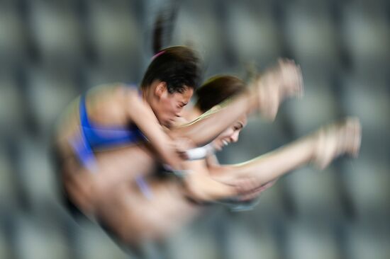 FINA/NVC Diving World Series 2014. Day One