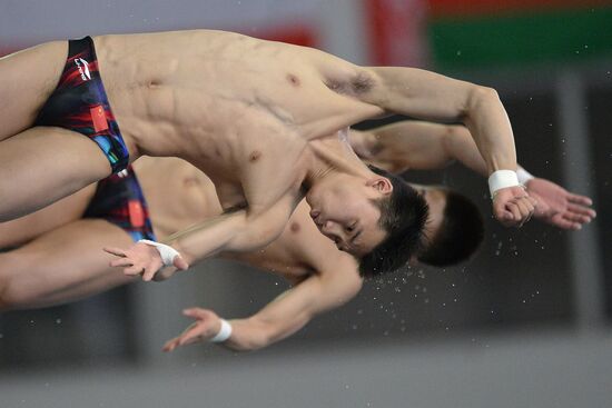 FINA/NVC Diving World Series 2014. Day One